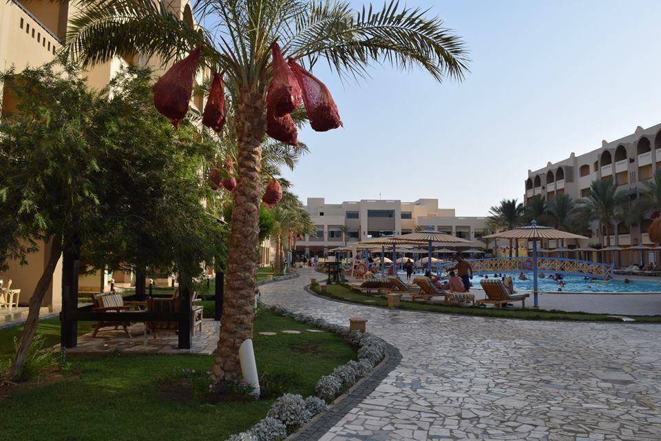 Comfortable Studio In Hotel Karma With Private Beach And Pools Family Only Or Female Хургада Экстерьер фото